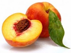 พีช (Peach: Prunus persica (L.) Batsch) หรือ ท้อ ผลไม้เพื่อสุขภาพ