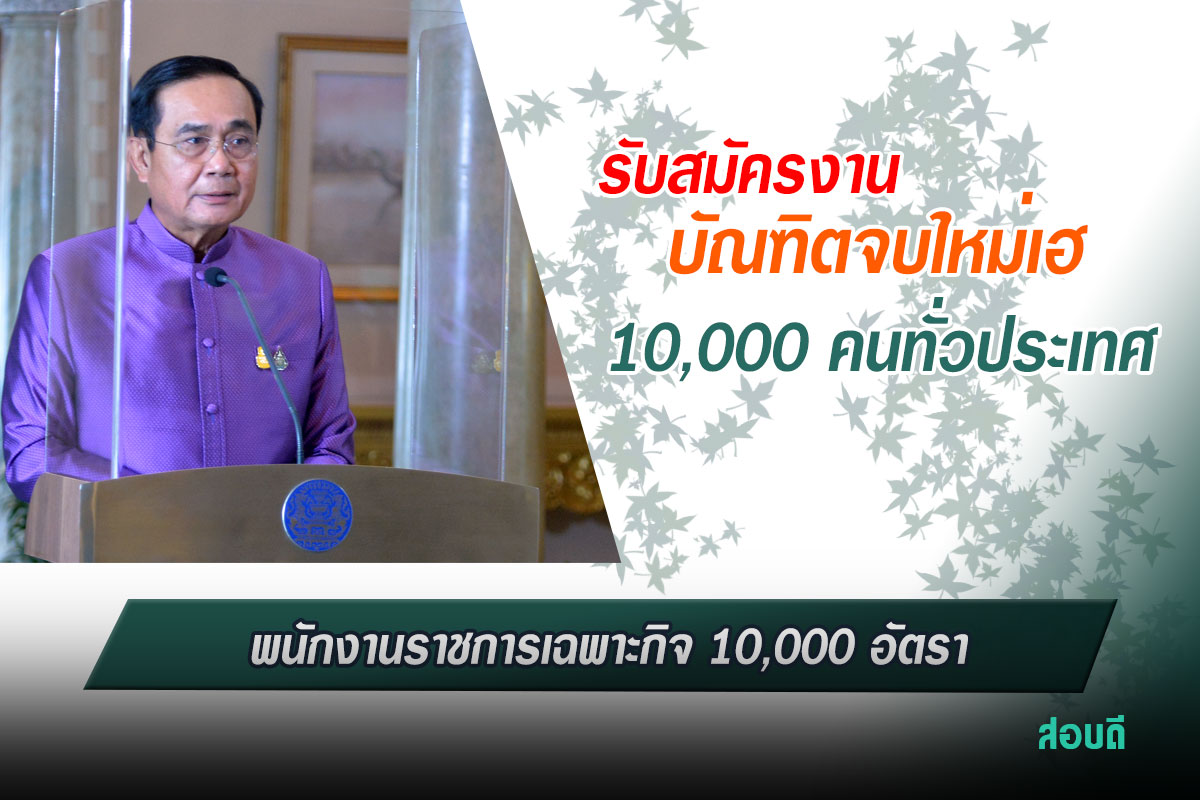 กรอบอัตรากำลังพนักงานราชการเฉพาะกิจบัณฑิตจบใหม่